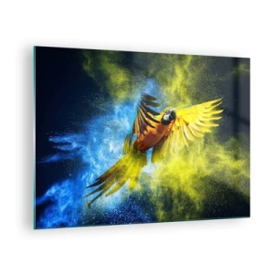 Tablou pe sticlă - Un papagal colorat în zbor pe un fundal galben și albastru - 70x50cm - În praful albastru-auriu - Decorațiune modernă pentru perete pentru living și dormitor ARTTOR