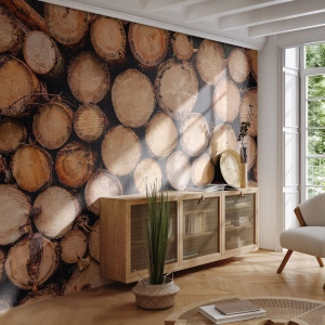 Tapet Standard Eco - Trunchiuri de copaci aranjate în secțiune transversală - 100x70cm - Un nou început - Decorațiune modernă pentru perete pentru living și dormitor ARTTOR