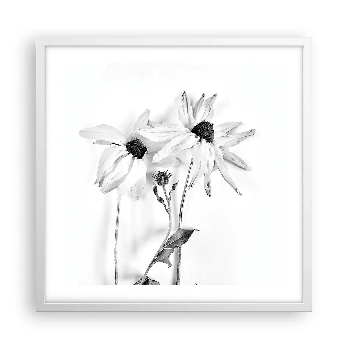 Poster în ramă albă - Nimeni nu vrea să fie singur - 50x50 cm