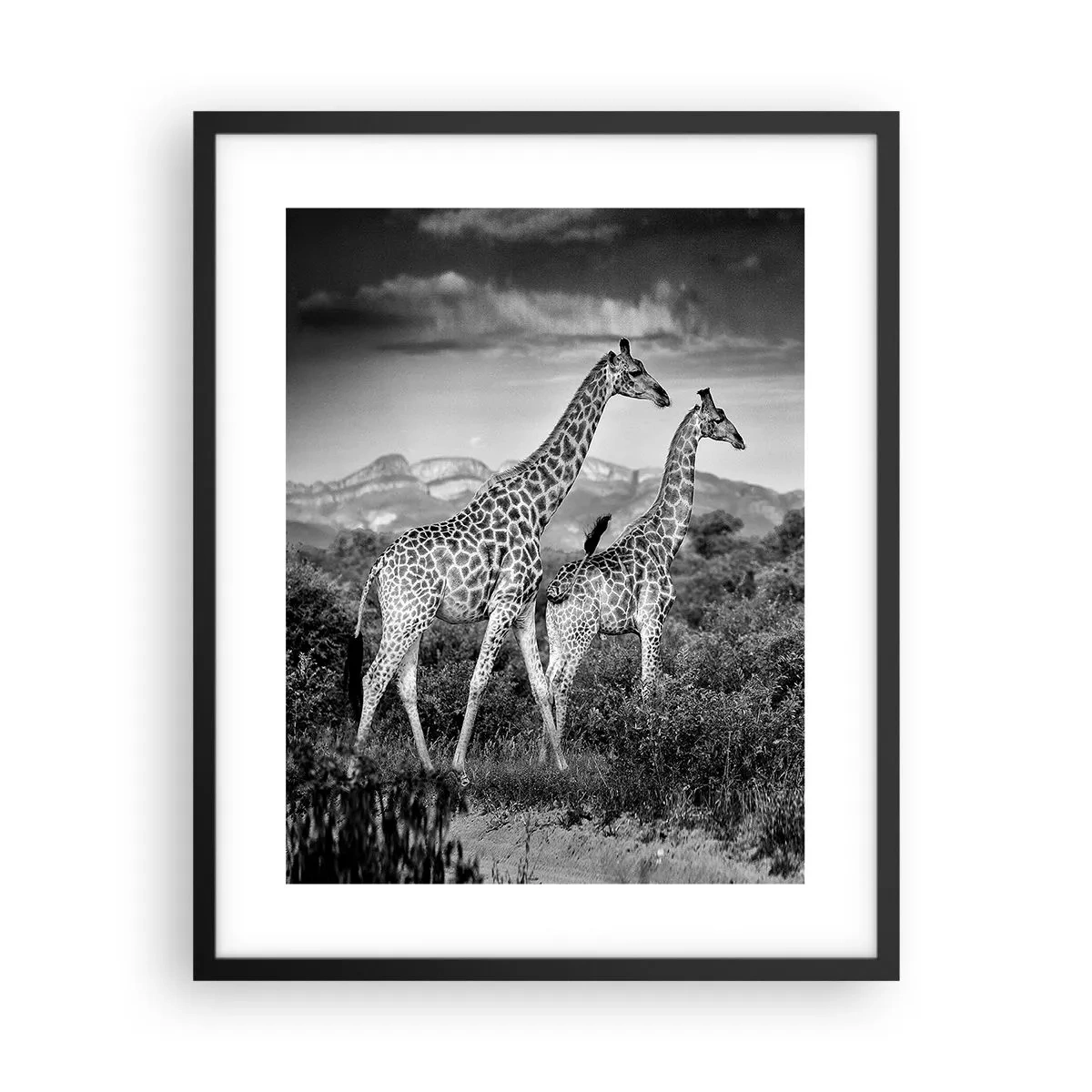 Poster în ramă neagră - Clasele superioare din Africa - 40x50 cm