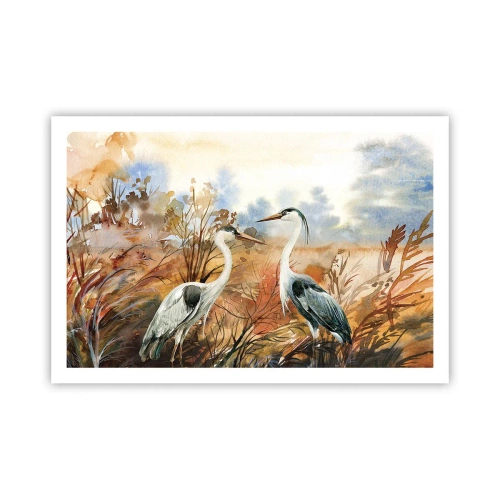 Poster - Încotro în toamnă? - 91x61 cm