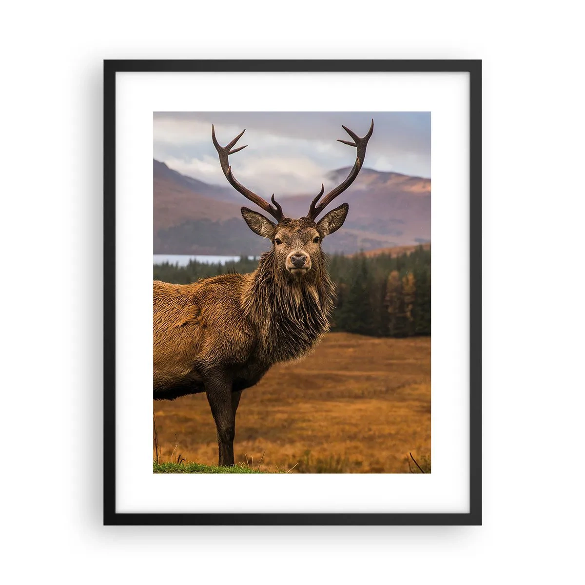 Poster în ramă neagră - Măreția naturii - 40x50 cm