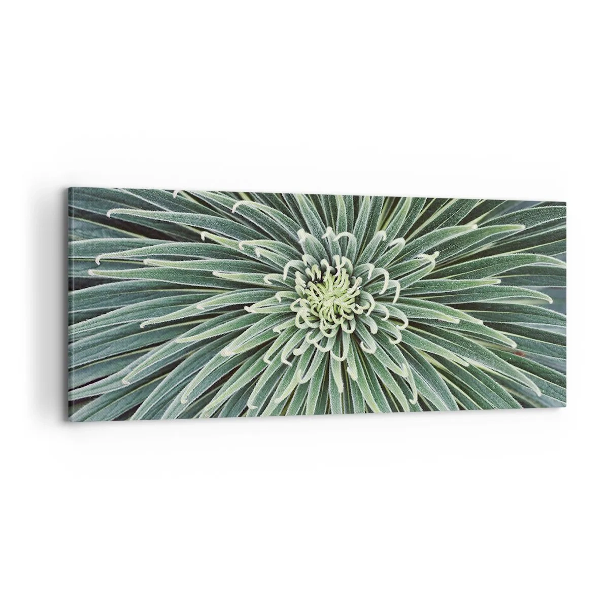 Tablou pe pânză - Nașterea unei stele - 100x40 cm