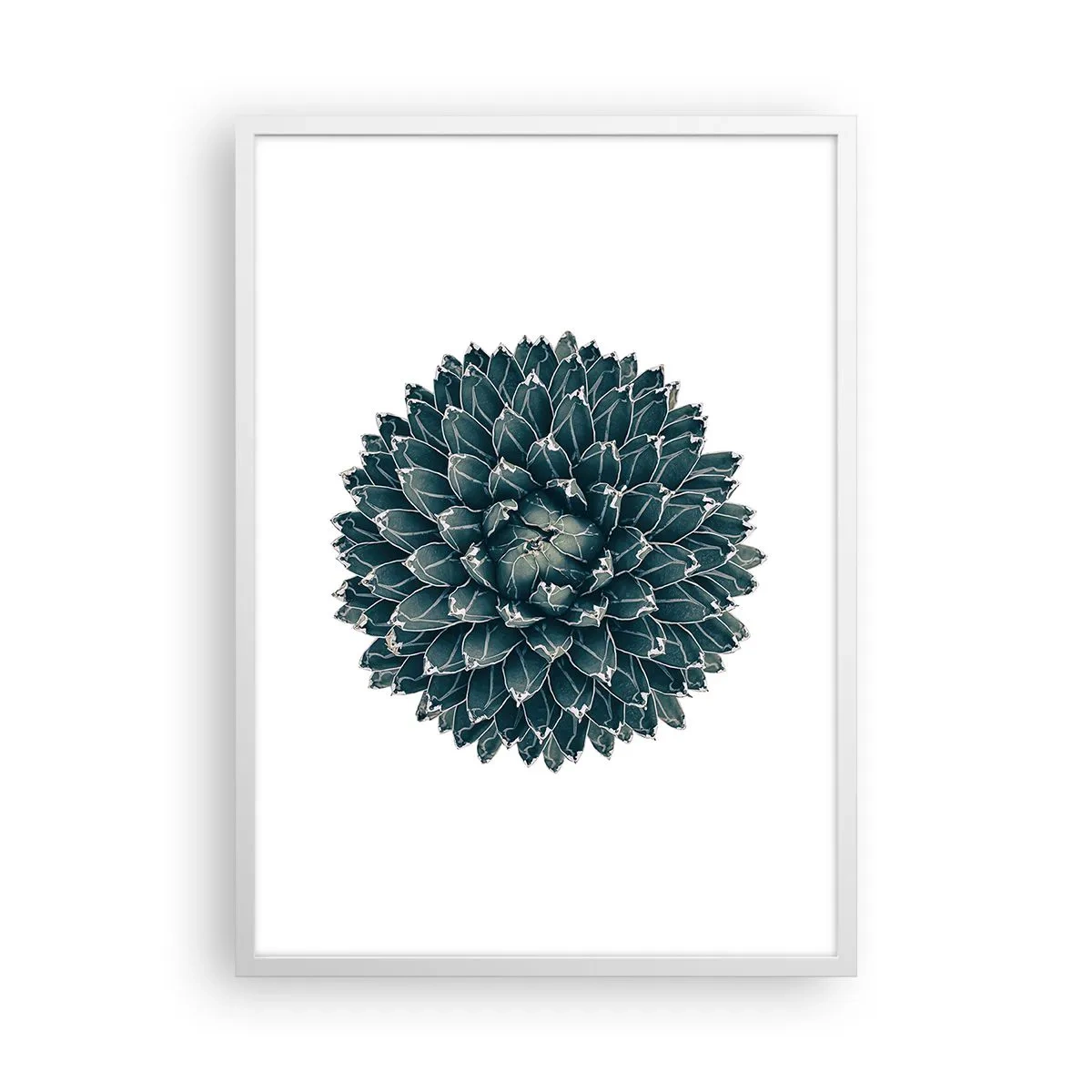 Poster în ramă albă - Steaua deșertului - 50x70 cm