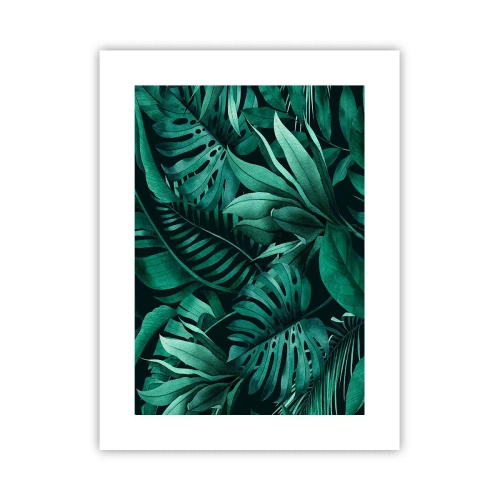 Poster - Profunzimea verdelui tropical - 30x40 cm
