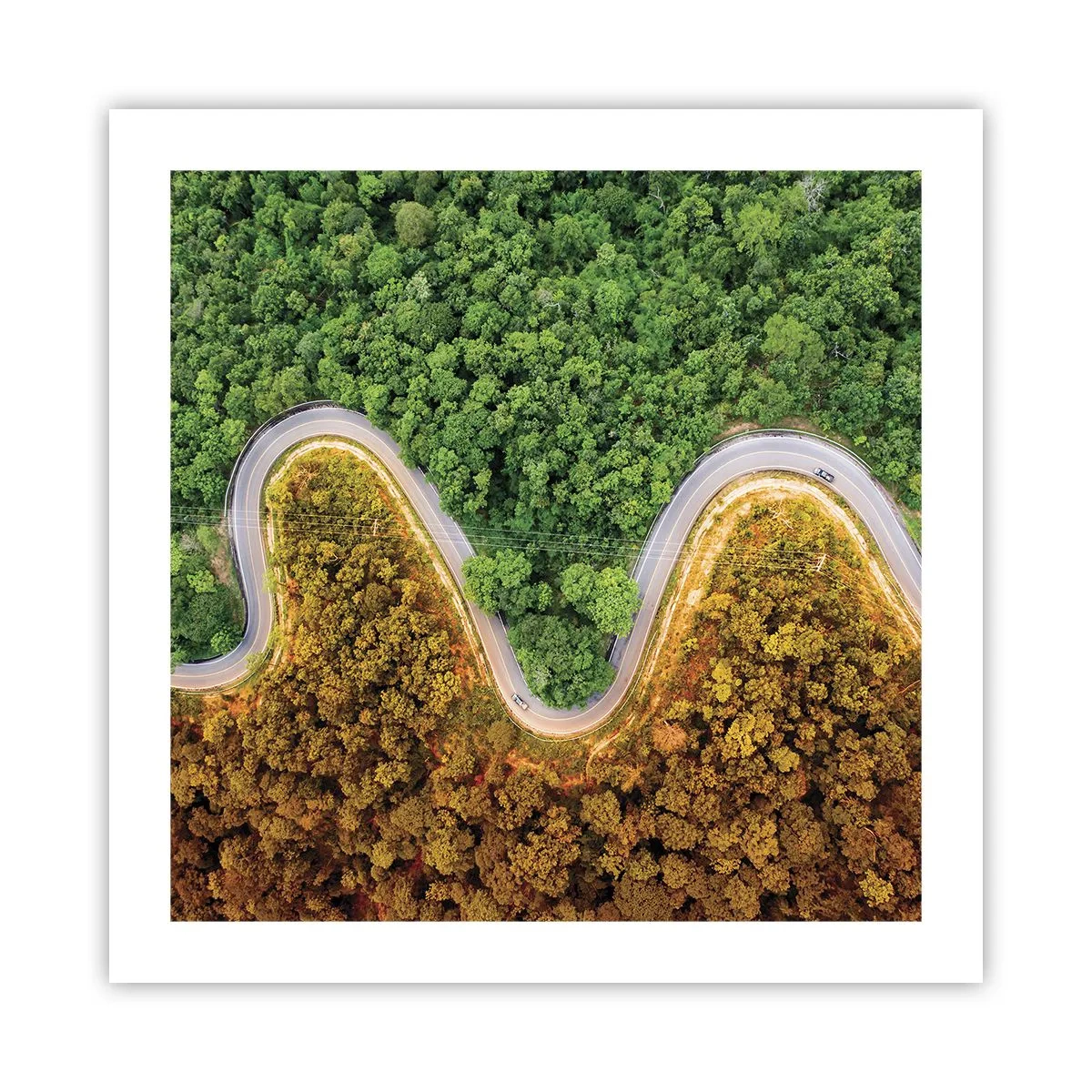 Poster - Frontiere și defilee - 50x50 cm