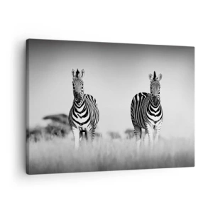 Tablou pe pânză Canvas - Două zebre în savană într-un stil monocromatic - 70x50cm - Și totuși lumea e albă și neagră - Decorațiune modernă pentru perete pentru living și dormitor ARTTOR