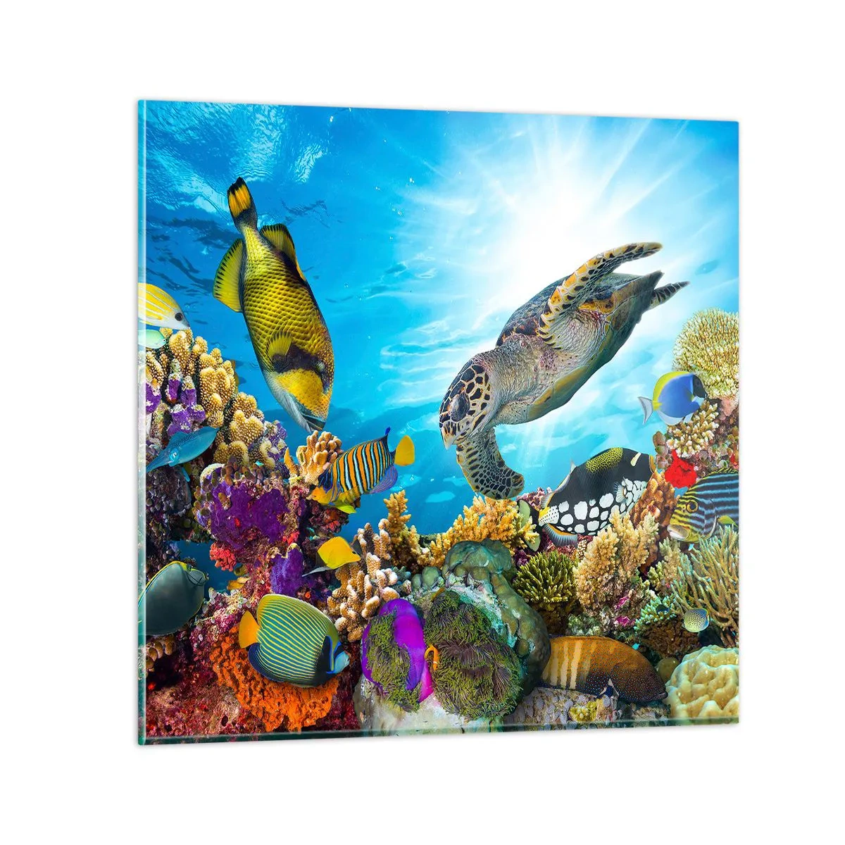 Tablou pe sticlă - Promenada de corali - 40x40 cm