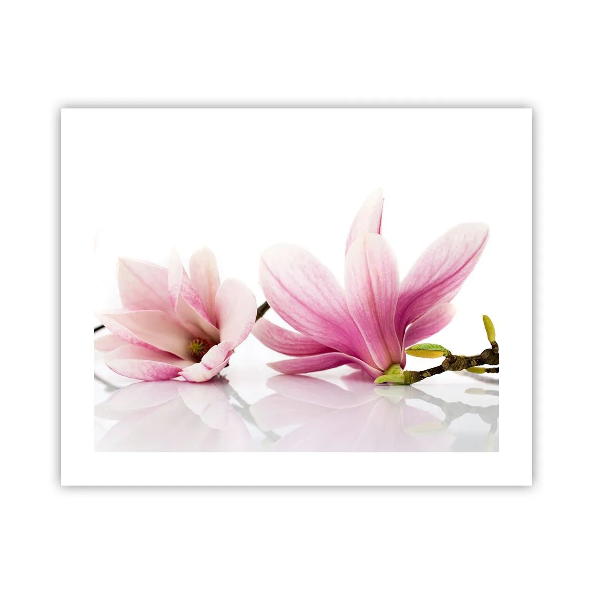 Poster - Delicate ca o adiere de primăvară - 50x40 cm