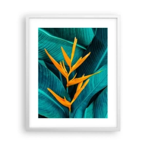 Poster în ramă albă - Floarea Edenului - 40x50 cm