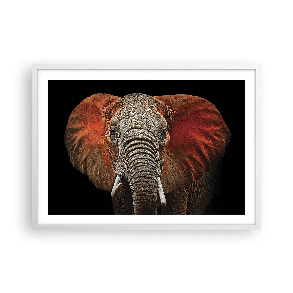 Poster în ramă albă - Sunt sălbatic, și tu? - 70x50 cm