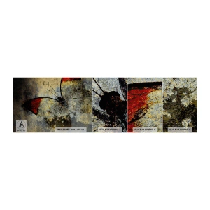 Mostră tapet Premium Canvas - Privește înainte să dispar - Abstracția, Fluture, Bucată - 100x30 cm