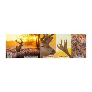 Mostră tapet Premium Canvas - Regele pădurii de toamnă - Peisaj, Cerb, Natură - 100x30 cm