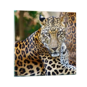 Tablou pe sticlă - Sălbatic și liniștit - 70x70 cm