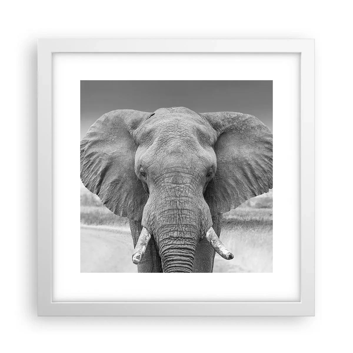 Poster în ramă albă - Bun venit în lumea mea - 30x30 cm