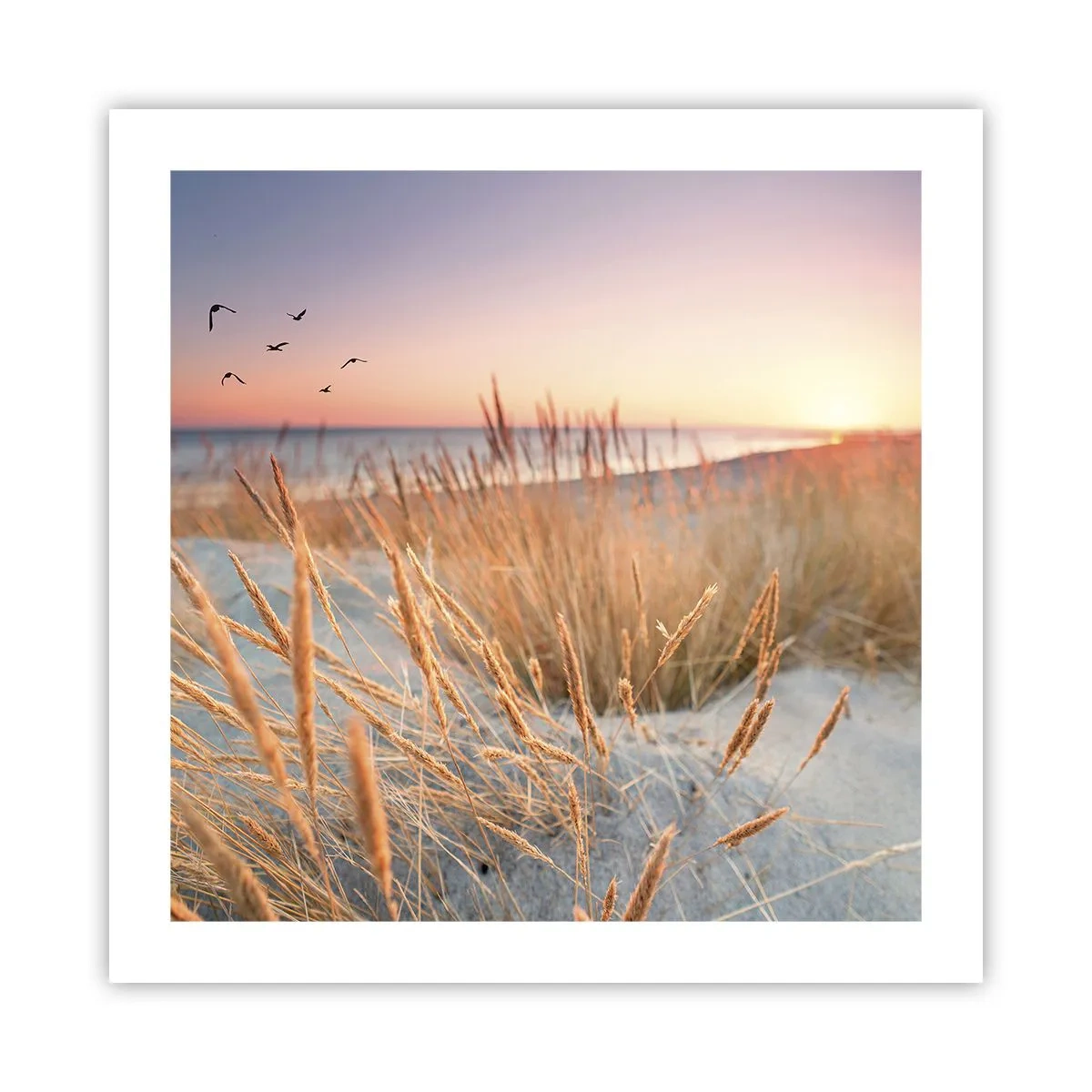 Poster - Cântec de leagăn baltic - 50x50 cm