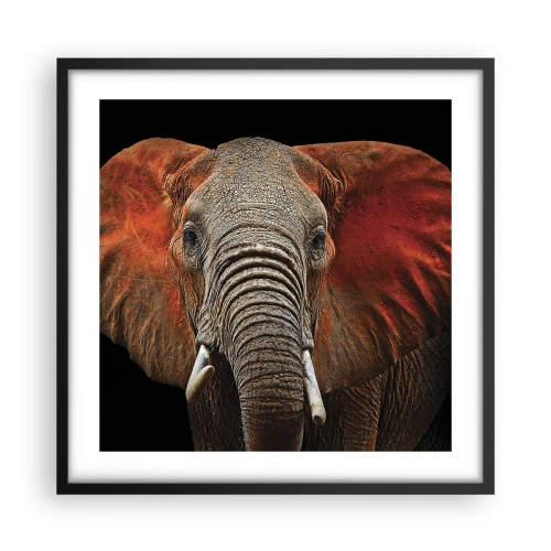 Poster în ramă neagră - Sunt sălbatic, și tu? - 50x50 cm