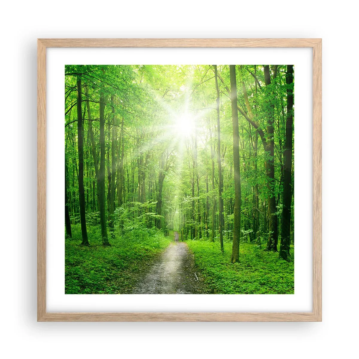 Poster în ramă de stejar deschis - Catedrala verde - 50x50 cm