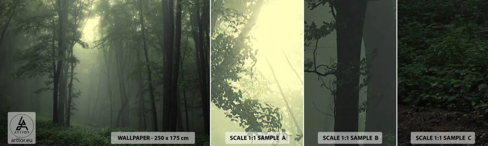 Mostră tapet autocolant Deluxe Sticker - Înainte să se trezească - Peisaj, pădure, Natură - 100x30 cm