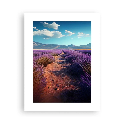 Poster - Câmpuri parfumate - 30x40 cm