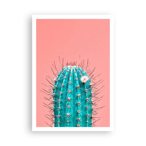 Poster - Doar privește - 70x100 cm