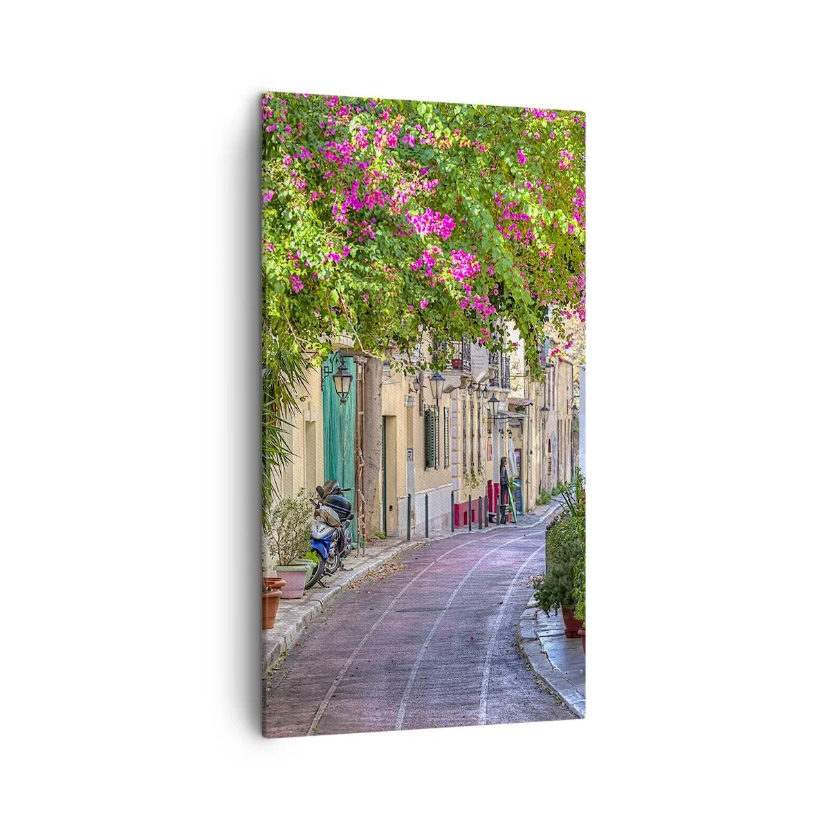Tablou pe pânză - Alee înfloritoare - 45x80 cm