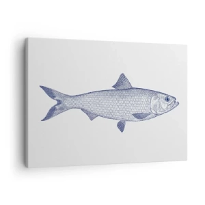 Tablou pe pânză Canvas - Ilustrație a unui pește în nuanțe de albastru pe un fundal deschis - 70x50cm - Salutări din mările nordice - Decorațiune modernă pentru perete pentru living și dormitor ARTTOR