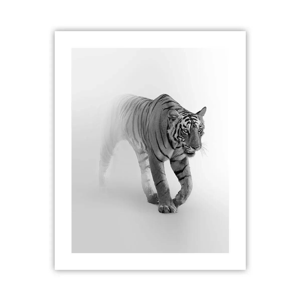 Poster - De veghe în ceață - 40x50 cm