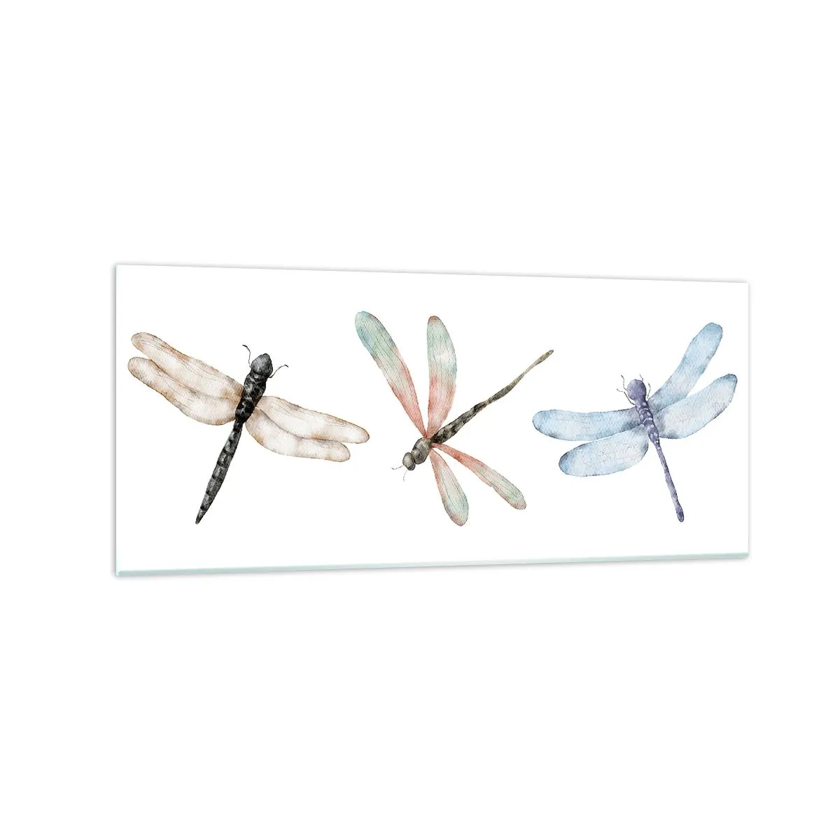 Tablou pe sticlă - Libelule imponderabile - 120x50 cm