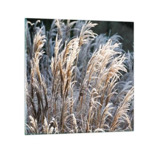 Tablou pe sticlă - Împodobite cu brumă - 30x30 cm