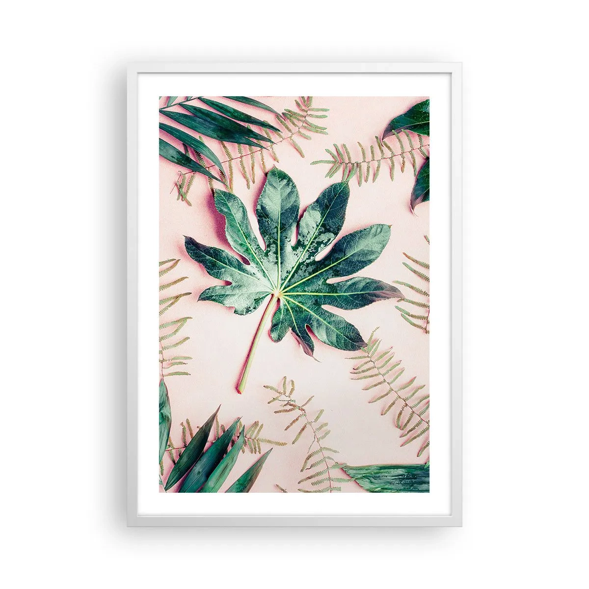 Poster în ramă albă - Studiu de verdeață pe un fundal roz - 50x70 cm