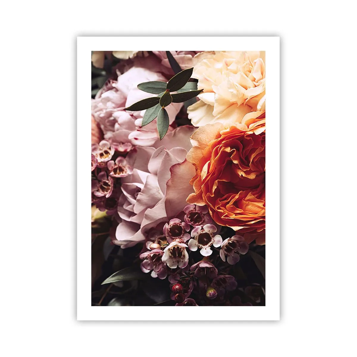 Poster - Înghesuite în frumusețe - 50x70 cm