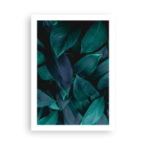 Poster - Verdeața în sine - 50x70 cm