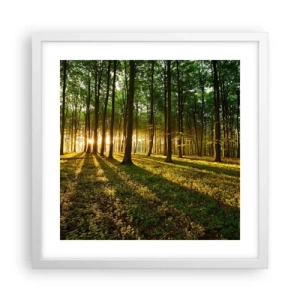 Poster în ramă albă - Fotografia tuturor primăverilor - 40x40 cm
