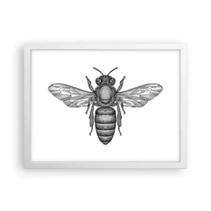 Poster în ramă albă - Portret de insectă - 40x30 cm