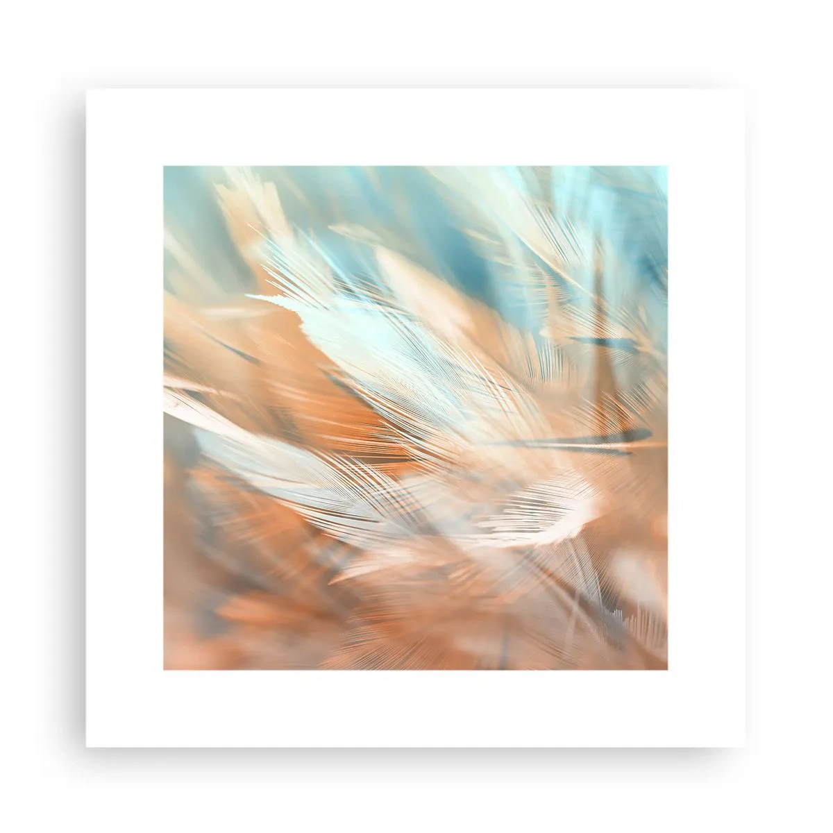 Poster - În țara blândeții - 30x30 cm