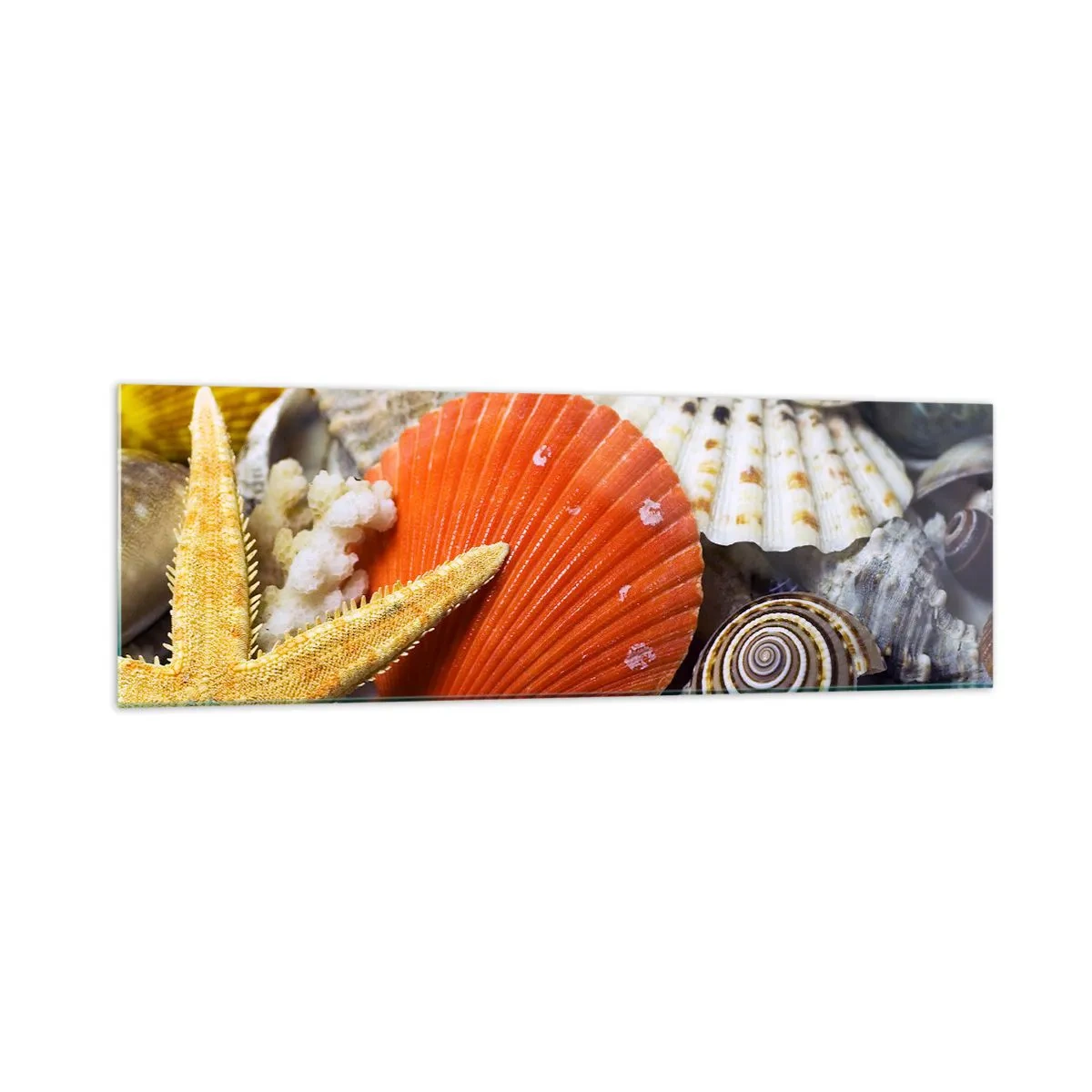 Tablou pe sticlă - Comorile oceanului - 160x50 cm