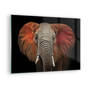 Tablou pe sticlă - Portretul unui elefant maiestuos pe un fundal negru - 70x50cm - Sunt sălbatic, și tu? - Decorațiune modernă pentru perete pentru living și dormitor ARTTOR