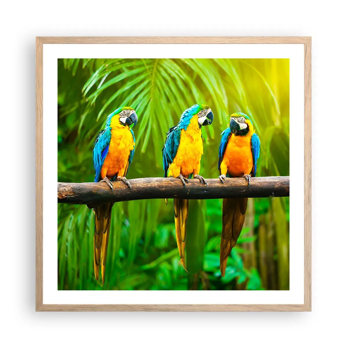 Poster în ramă de stejar deschis - Și ai auzit că ea...? - 60x60 cm