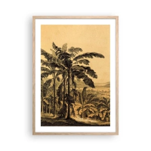 Poster în ramă de stejar deschis - În stil colonial - 50x70 cm