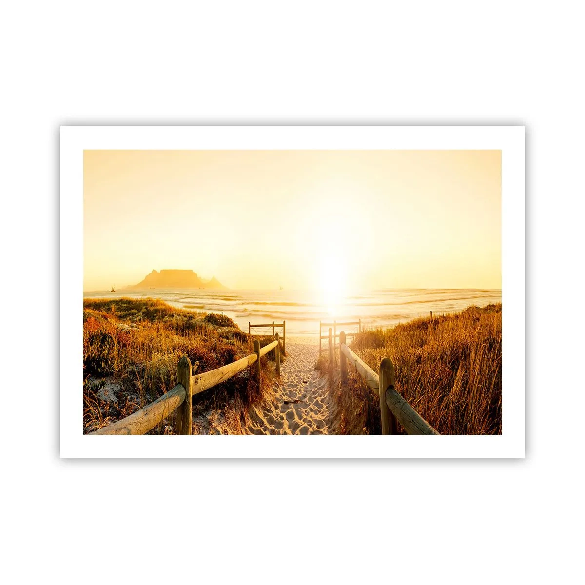 Poster - Prin dune spre soare - 70x50 cm