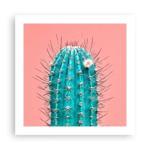 Poster - Doar privește - 50x50 cm