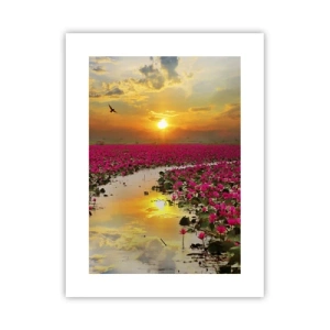 Poster - Viața secretă a lacului - 30x40 cm