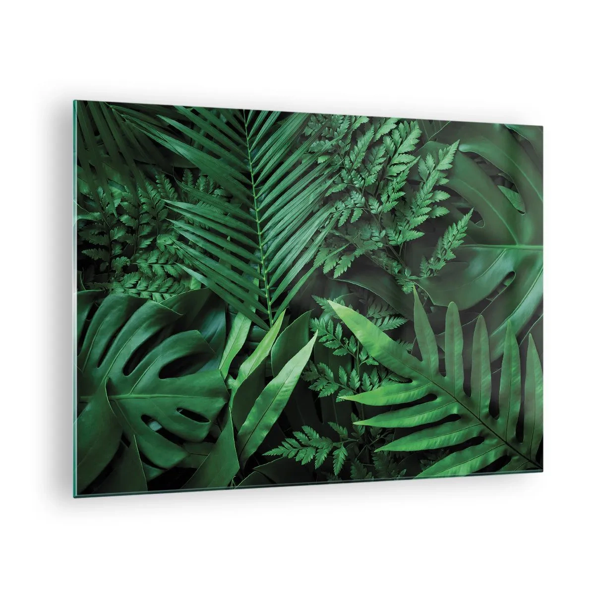 Tablou pe sticlă - Frunze verzi dense de plante tropicale în compoziție - 70x50cm - Înfășurate în verde - Decorațiune modernă pentru perete pentru living și dormitor ARTTOR