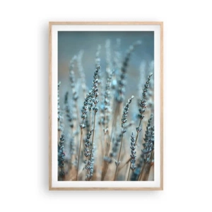 Poster în ramă de stejar deschis - Câmpul parfumat - 61x91 cm