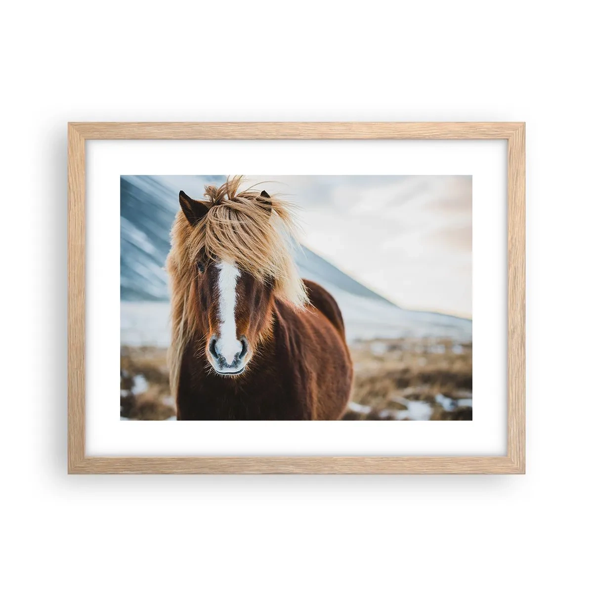 Poster în ramă de stejar deschis - Simțiți libertatea? - 40x30 cm