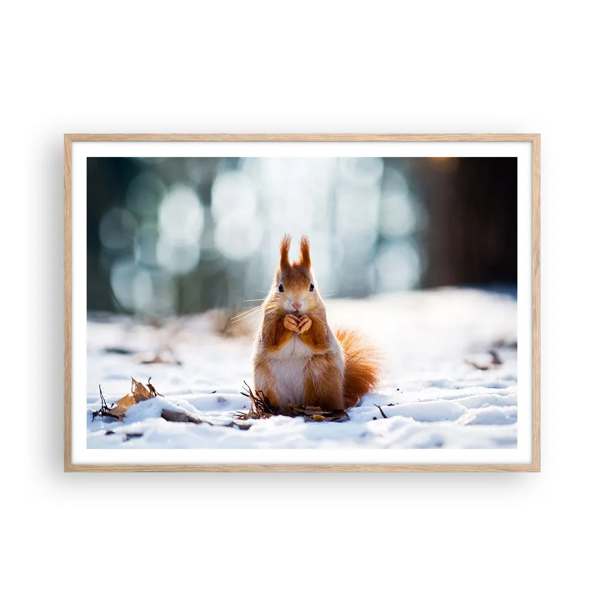 Poster în ramă de stejar deschis - Și la ce te uiți? - 100x70 cm