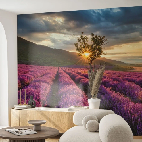 Tapet Autoadeziv Deluxe Sticker - Aroma în liliac - Peisaj, Lavandă, Provence - 300x210 cm