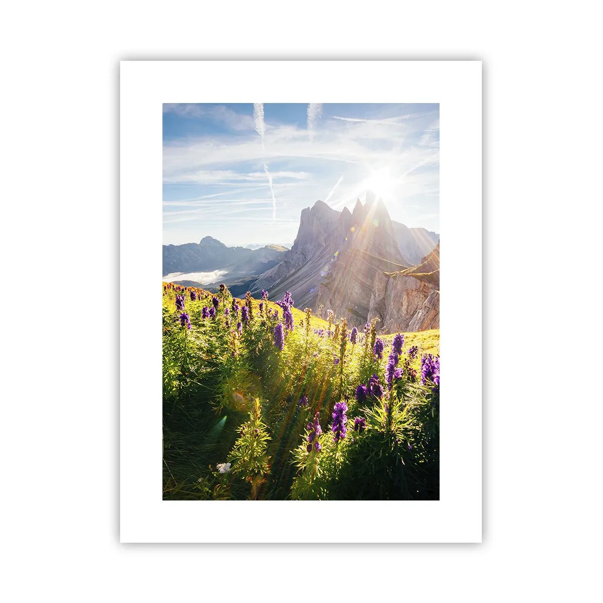 Poster - Viața secretă a ierburilor - 30x40 cm