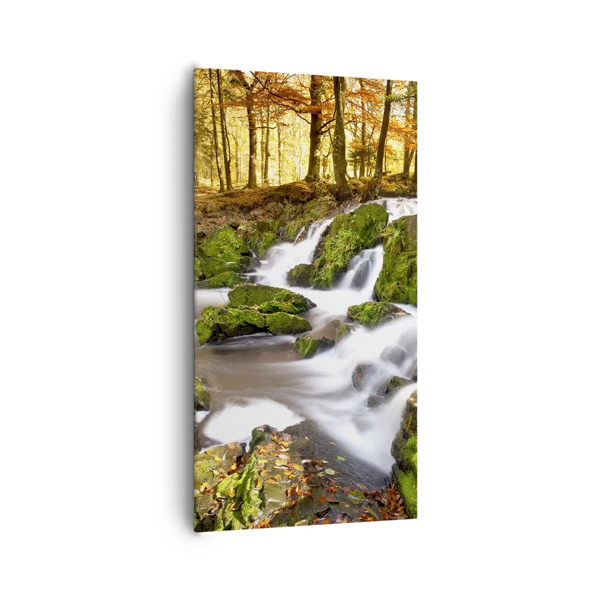 Tablou pe pânză - Repede prin pădure de toamnă - 65x120 cm